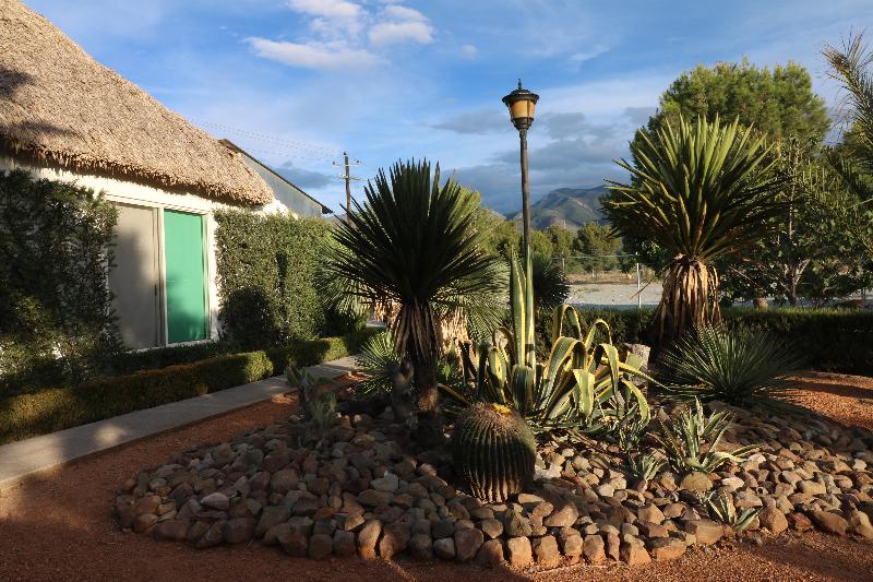 ホテル Mision Express Saltillo