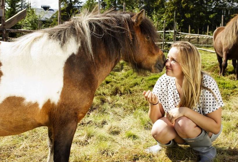 בית מלון כפרי Norefjell Ski & Spa
