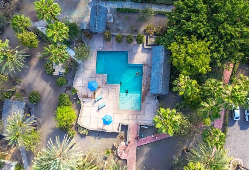 هتل Oasis