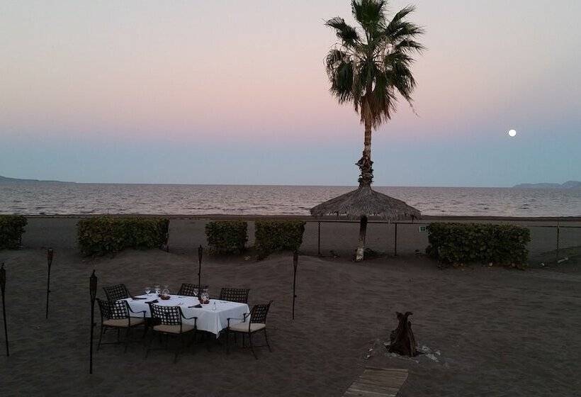 هتل Oasis
