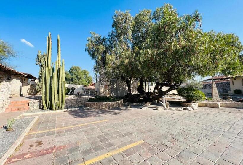 فندق Parador Vernal