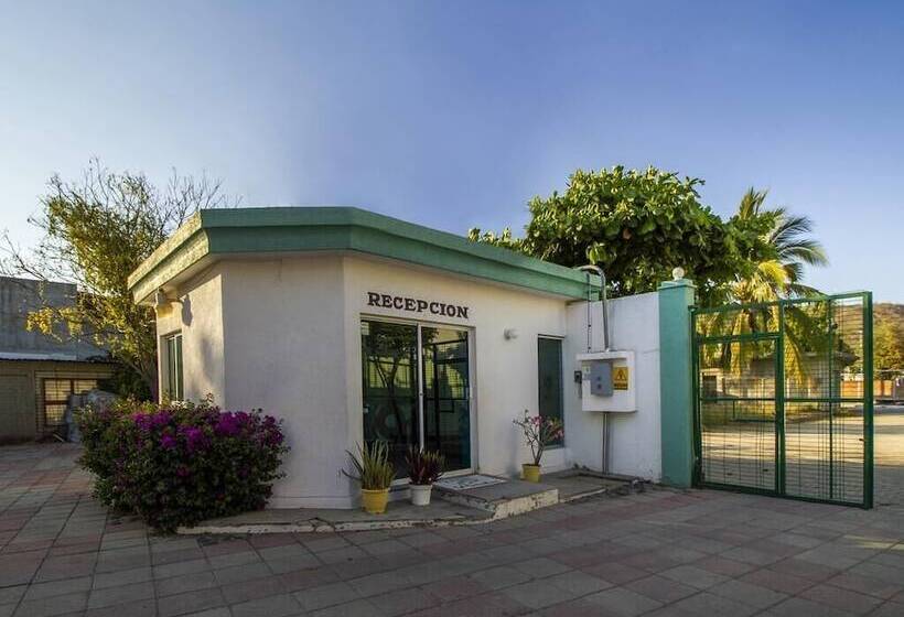 هتل Parotas Manzanillo