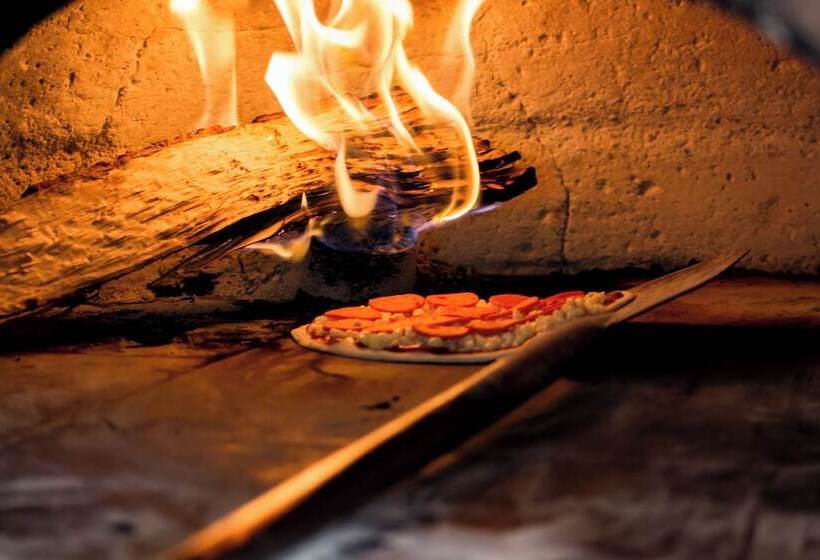 酒店 Plaza Pelicanos Club Beach Resort All Inclusive