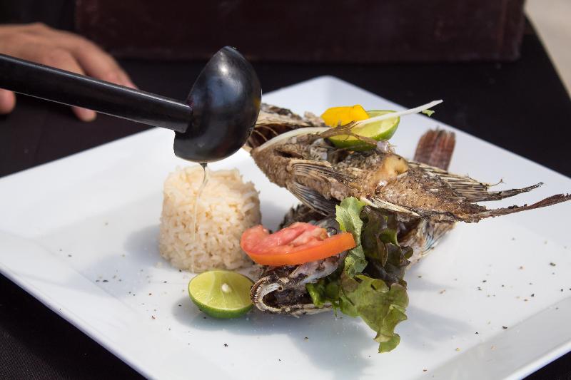 酒店 Plaza Pelicanos Club Beach Resort All Inclusive