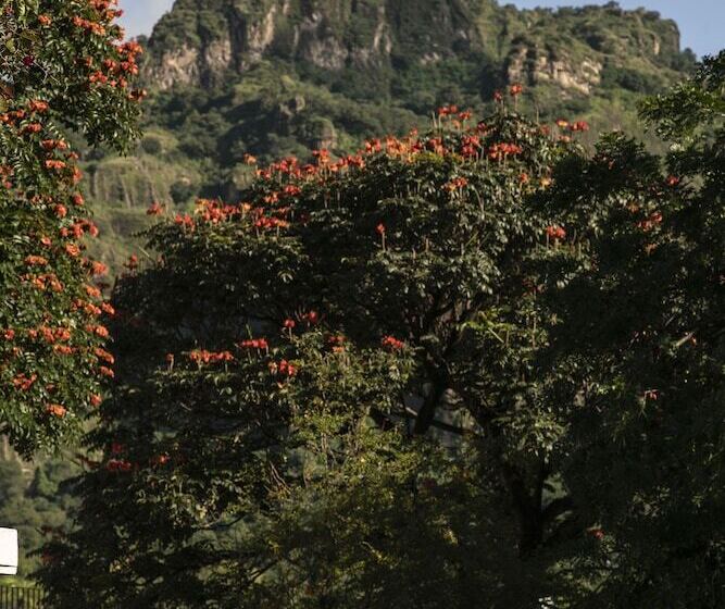Posada Del Tepozteco   Hotel & Gallery
