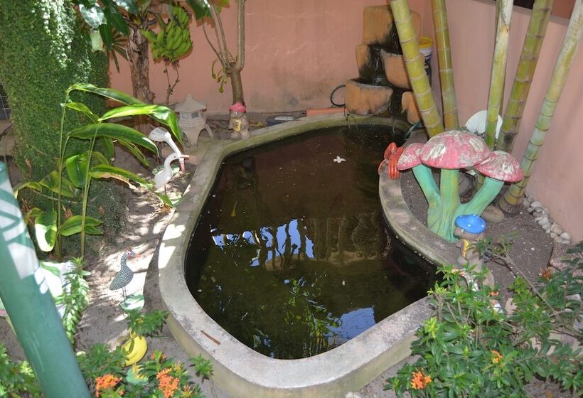 בית מלון כפרי Pousada Porto Tropical