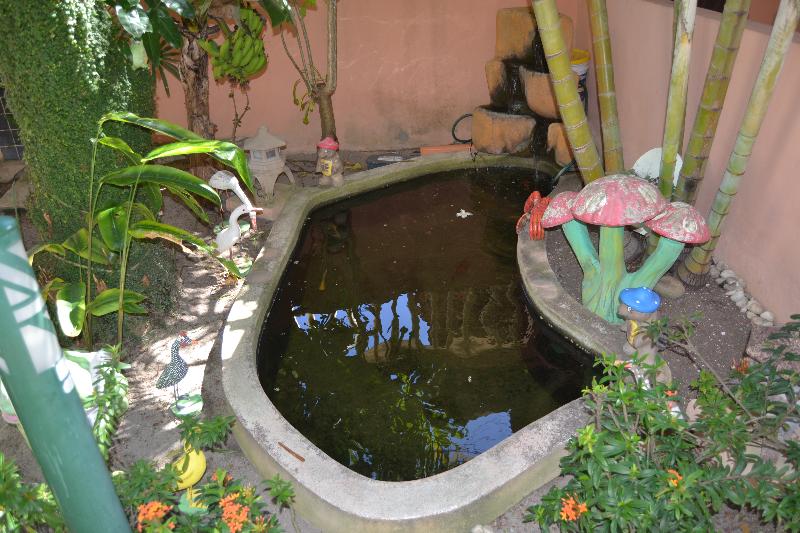 בית מלון כפרי Pousada Porto Tropical