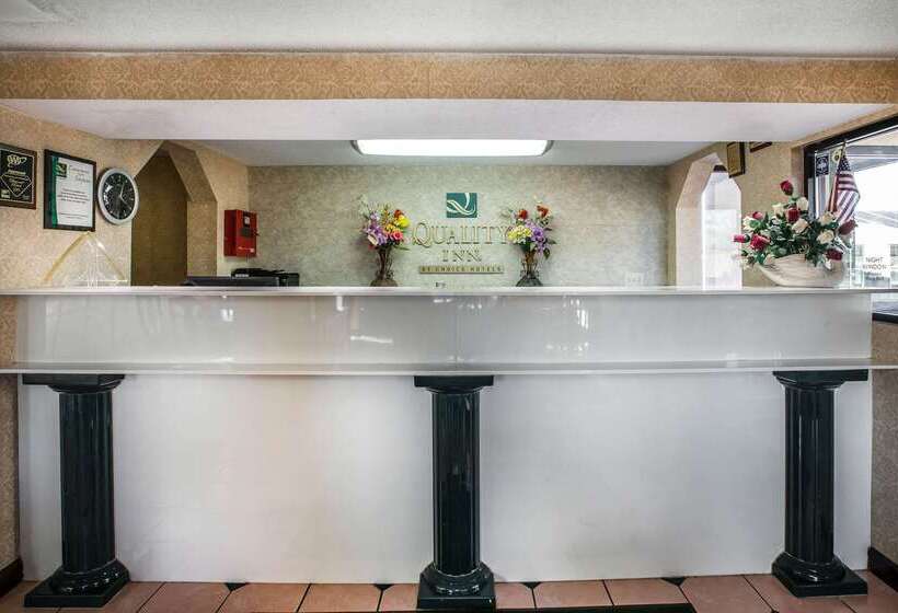 酒店 Quality Inn Byron