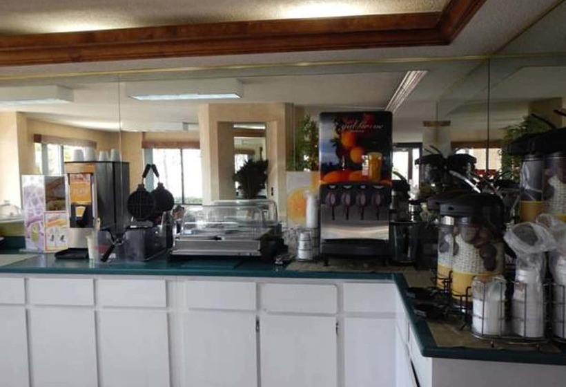 酒店 Quality Inn Byron