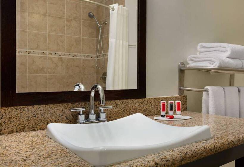 酒店 Ramada By Wyndham Oakland Downtown City Center