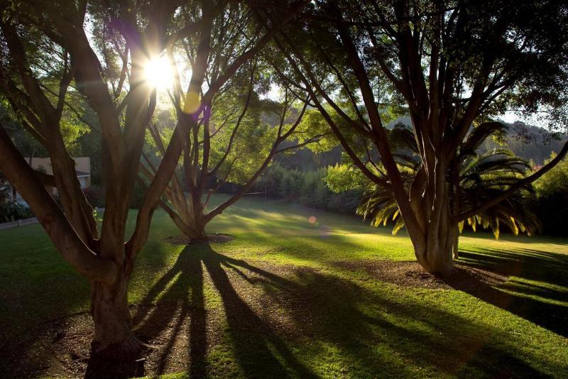 בית מלון כפרי Rancho San Diego Grand Spa Resort