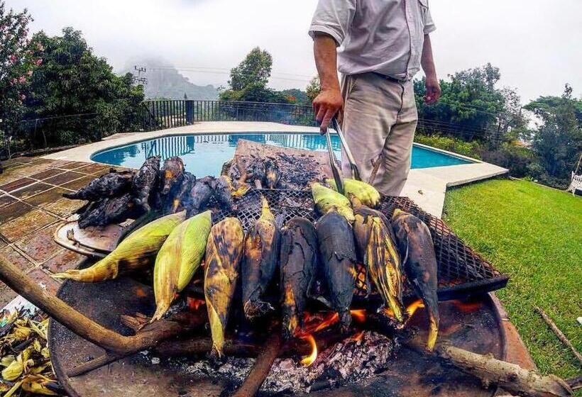 ホテル Real Del Valle Tepoztlan
