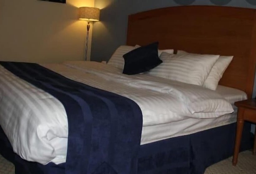 Reef Al Malaz International Hotel By Al Azmy