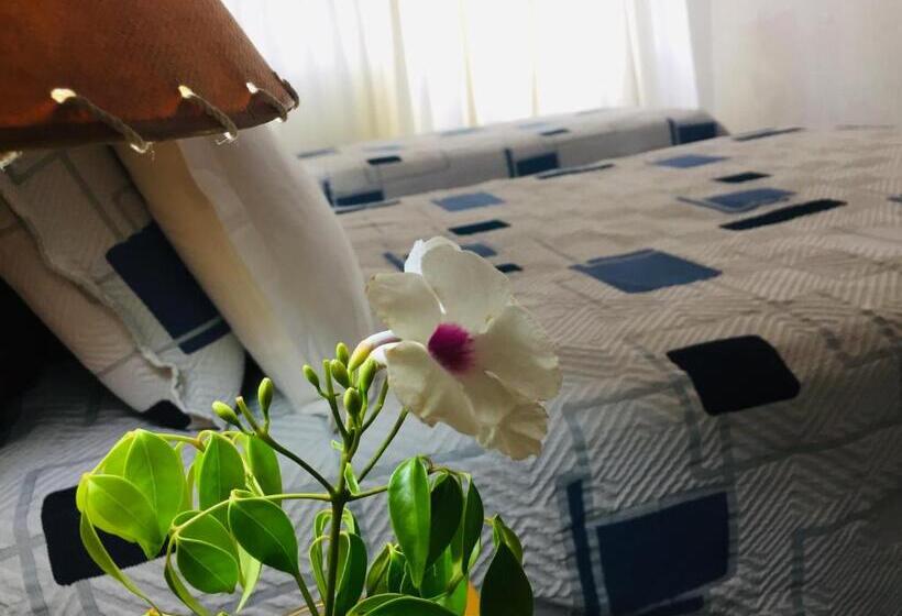 Отель San Remo Terrazas