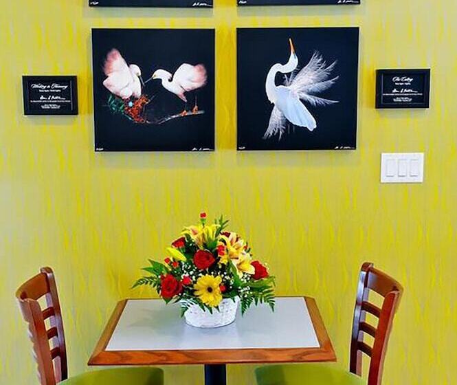 Отель Silver Palms Inn