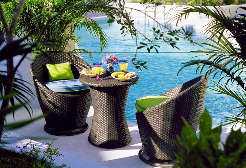 Отель Silver Palms Inn