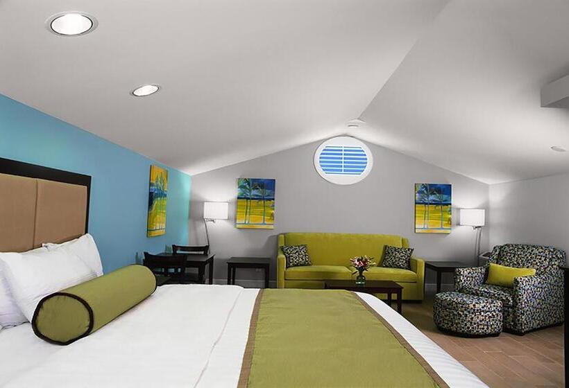 Отель Silver Palms Inn