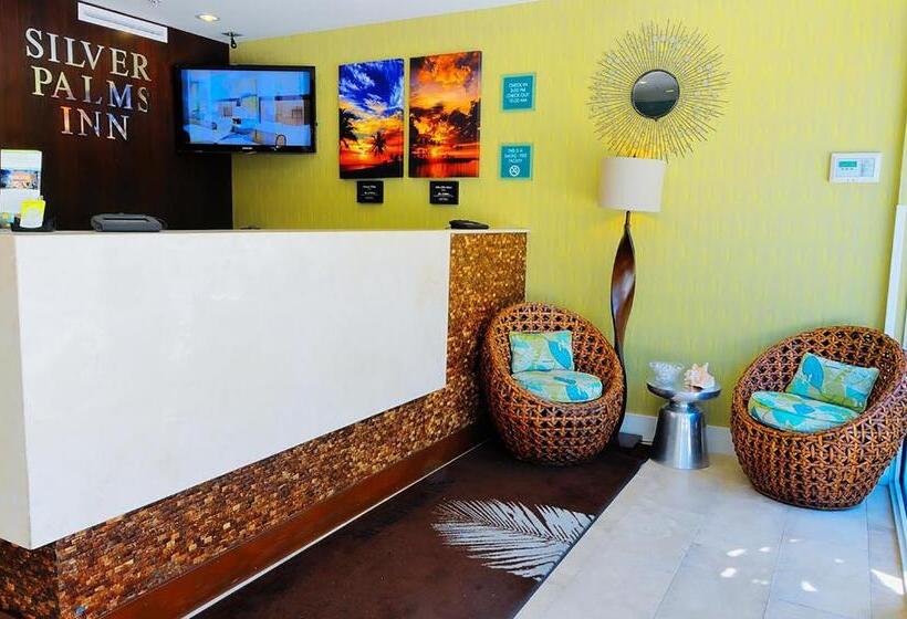 Отель Silver Palms Inn