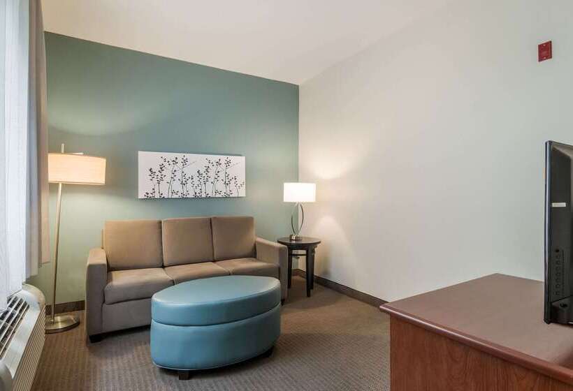 호텔 Sleep Inn & Suites At Kennesaw State University