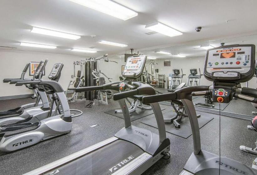 בית מלון כפרי Sleep Inn & Suites Columbus Next To Fort Moore