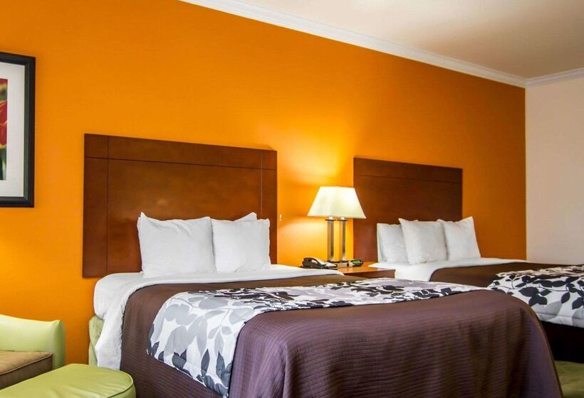 هتل Sleep Inn & Suites I20