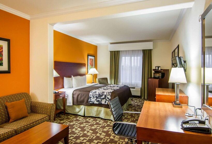 هتل Sleep Inn & Suites I20