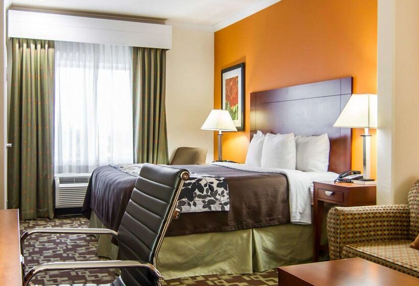 هتل Sleep Inn & Suites I20