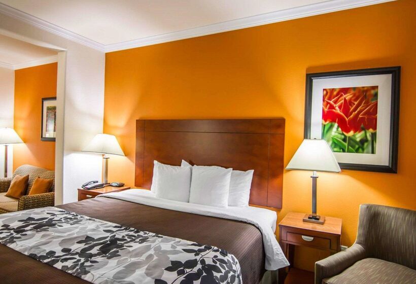 هتل Sleep Inn & Suites I20