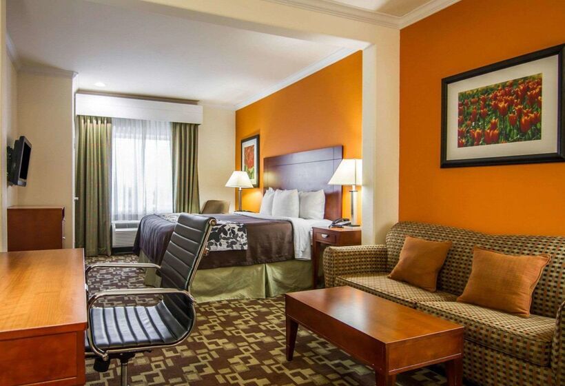 هتل Sleep Inn & Suites I20