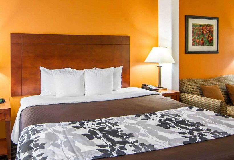 هتل Sleep Inn & Suites I20