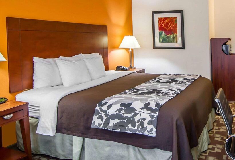 هتل Sleep Inn & Suites I20