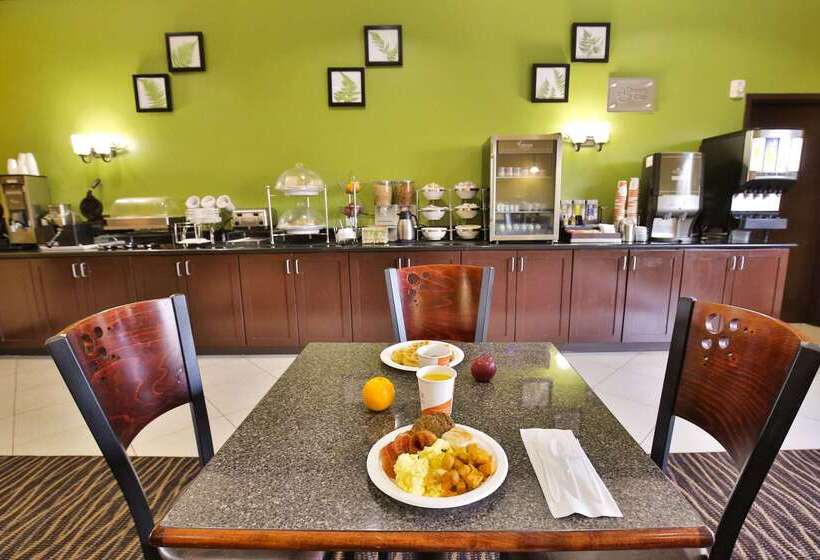 فندق Sleep Inn & Suites University