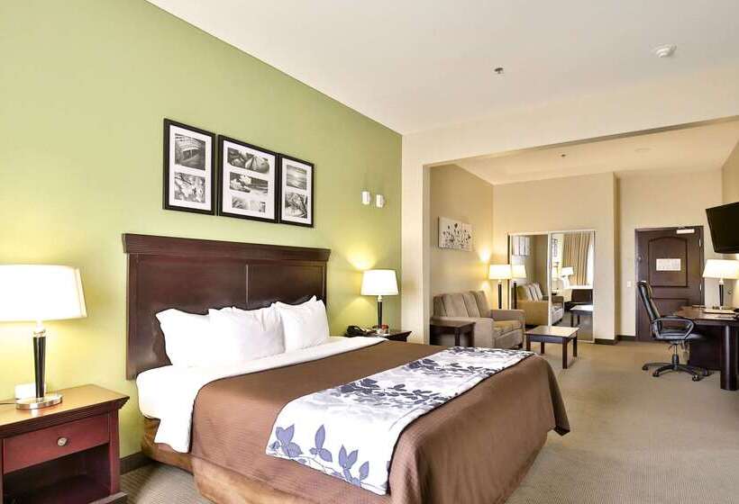 فندق Sleep Inn & Suites University