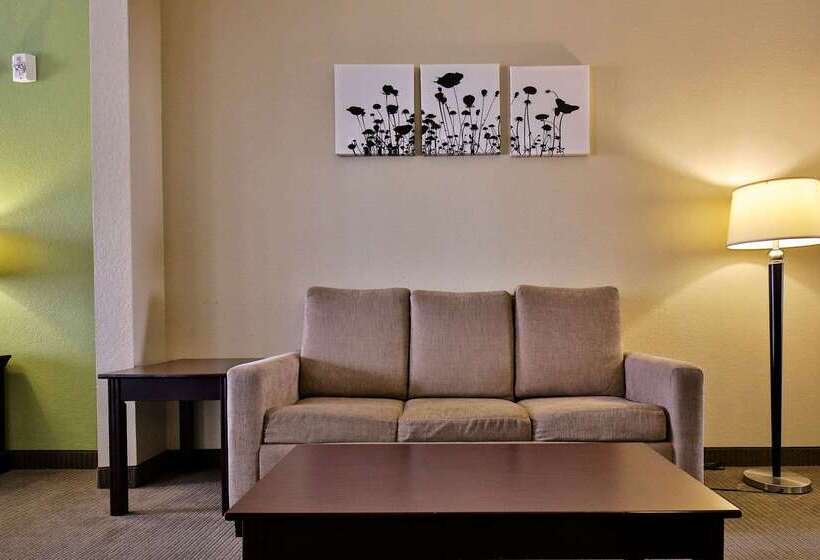 فندق Sleep Inn & Suites University