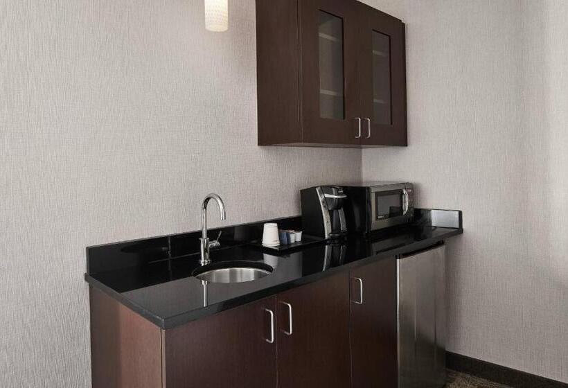 فندق Springhill Suites By Marriott Roanoke