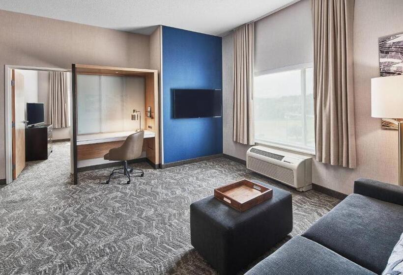 فندق Springhill Suites By Marriott Roanoke