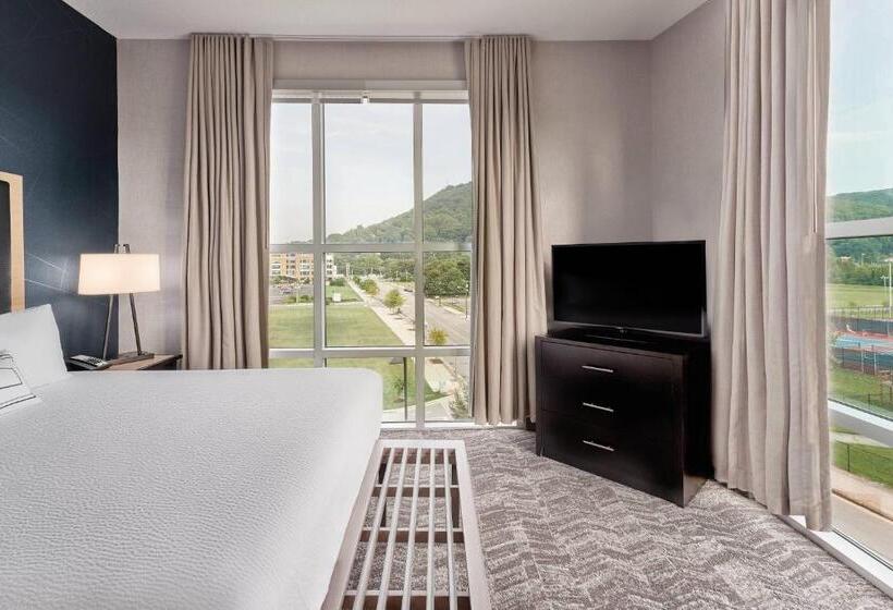 فندق Springhill Suites By Marriott Roanoke