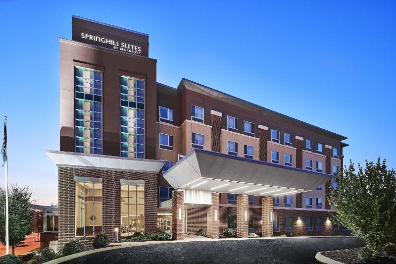 فندق Springhill Suites By Marriott Roanoke