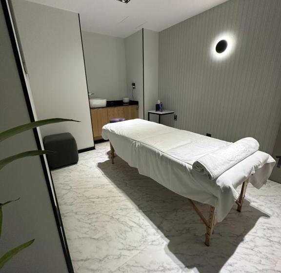 ホテル St Isidro Suites Corporate Housing Spa & Wellness Center