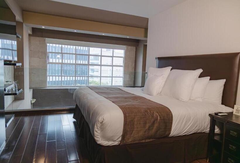 ホテル St Isidro Suites Corporate Housing Spa & Wellness Center