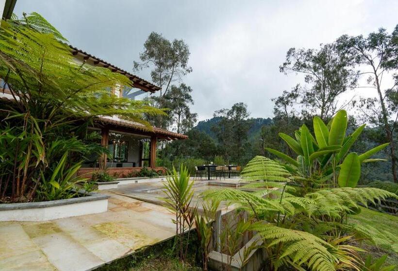 Отель Termales El Otoño