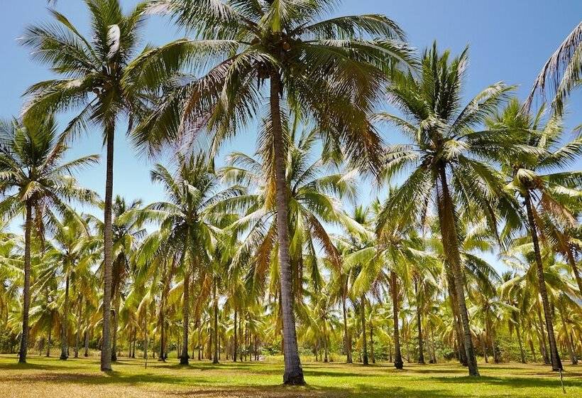 ホテル Thala Beach Nature Reserve