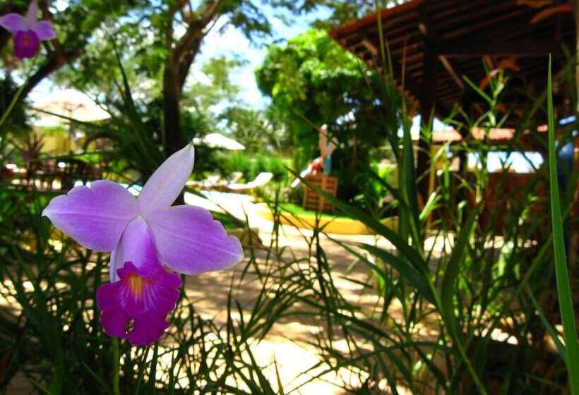 Thalassagarden Hotel   Pousada