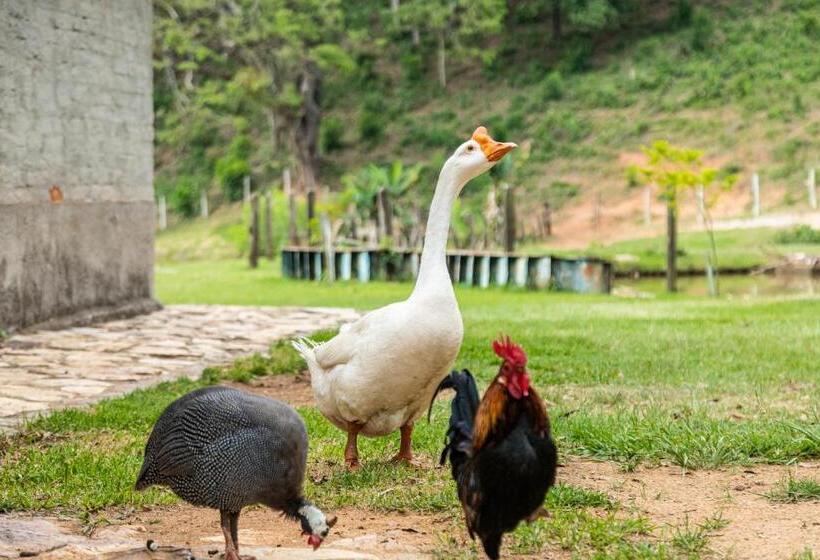 ホテル Villa Di Mantova Resort