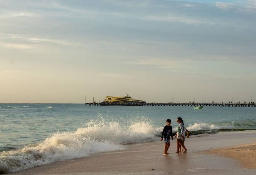 فندق Vista Caribe