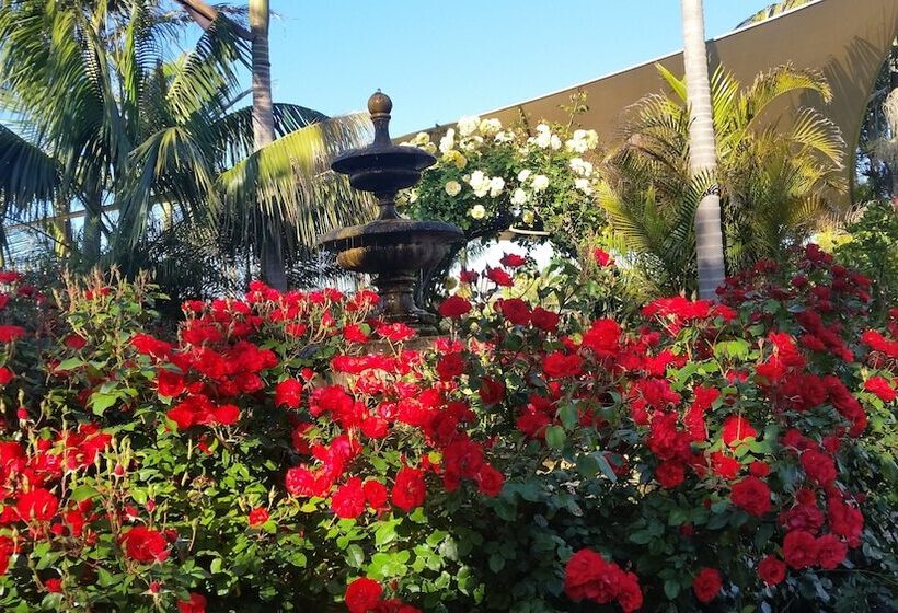 Mclaren Vale Motel & Apartments