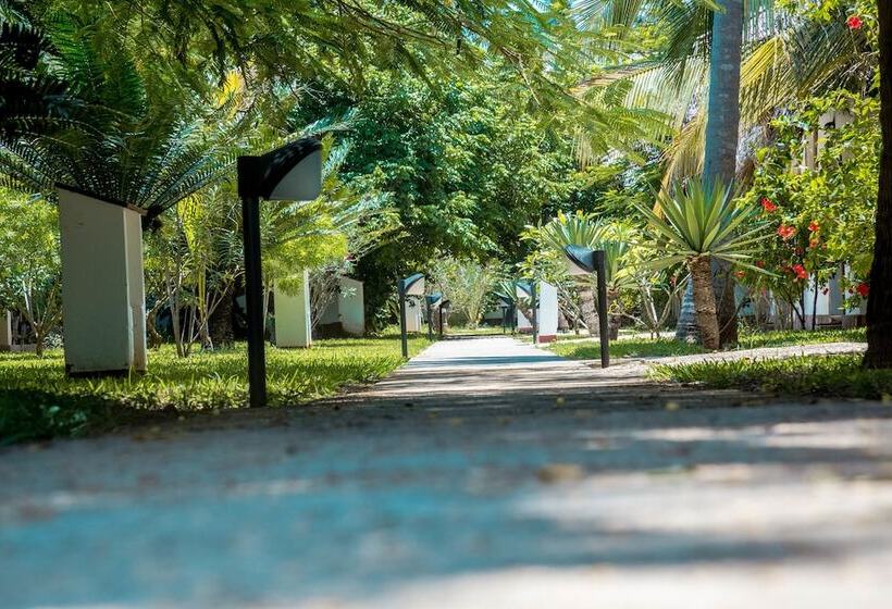 منتجع Jaz Adonia