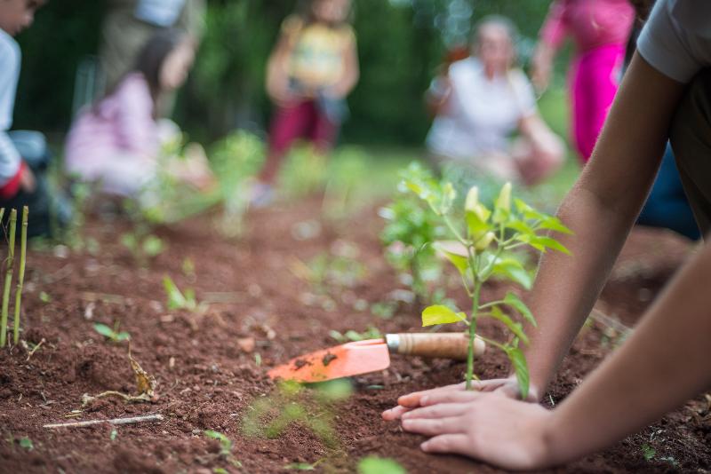 منتجع Wish Foz Do Iguaçu