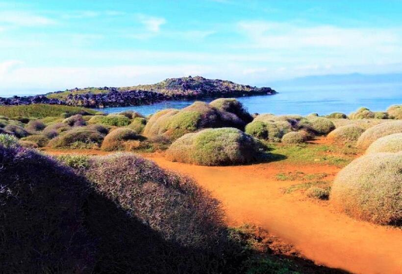 Zorbas Beach Village