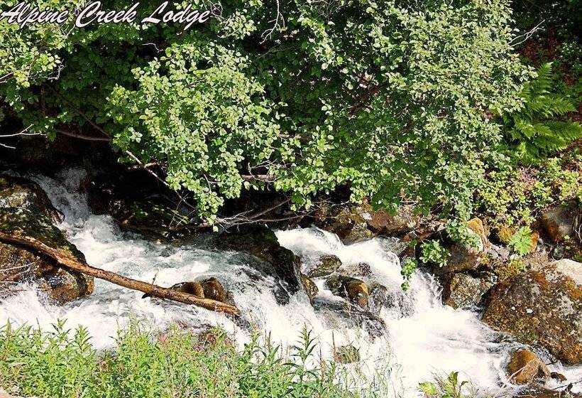 فندق Alpine Creek Lodge